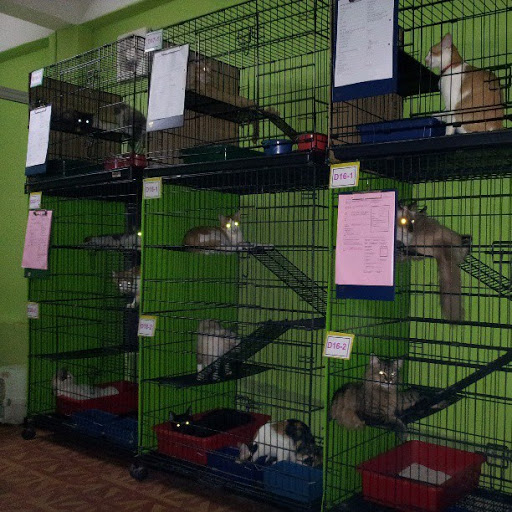 Zul & Azizi Boarding Pets