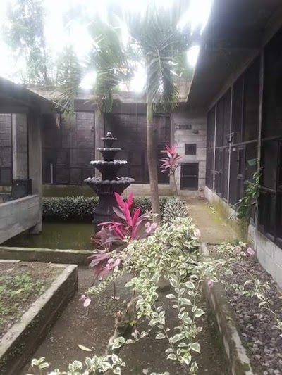 Photos of Penangkaran Murai Batu