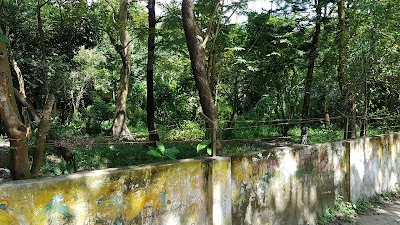 park