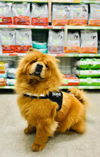 Quel Pet Shop - Visual