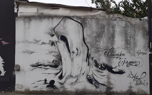 Murali di Olbia - Thumbnail