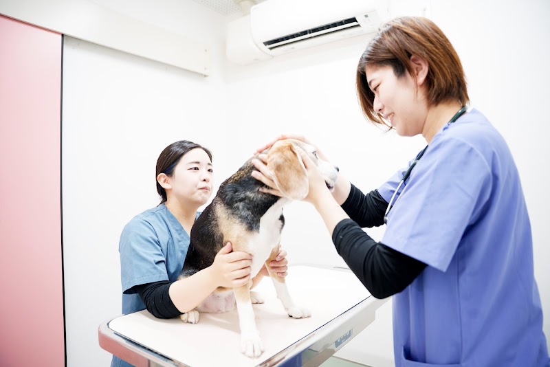 ペットクリニックトモニー水戸