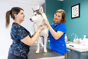 Photo n°20 de Clinique Vétérinaire Argos Beaune Veterinarium à Beaune (Vétérinaire)