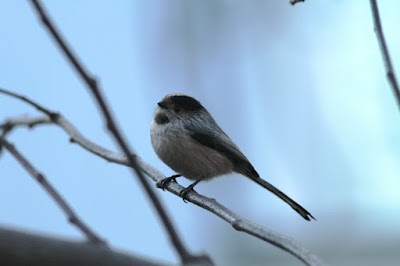 Photos of H&uuml;seyin Tek Parkı