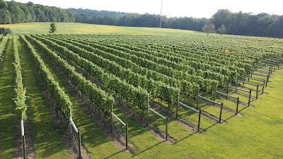 Turkey Point Vineyard Tasting Room