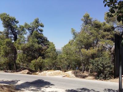 park