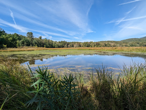 Frick Pond Loop - Thumbnail