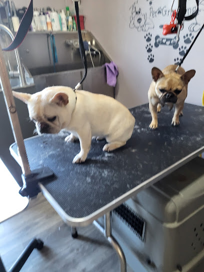 Mooney Pet Shop/Grooming Salon LLC