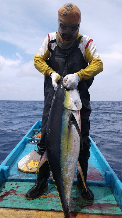 Photos of PT. Harta Samudra