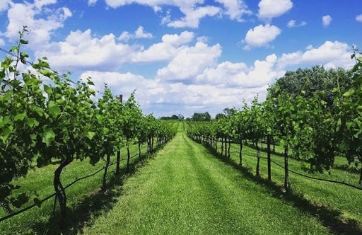 KC Wine Co Gallery - United States