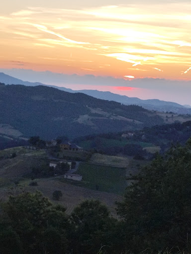 Pro Marola - Visual