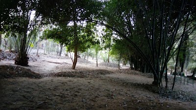 Photos of La Guinguetta