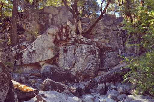 White Azalea Campground - Thumbnail