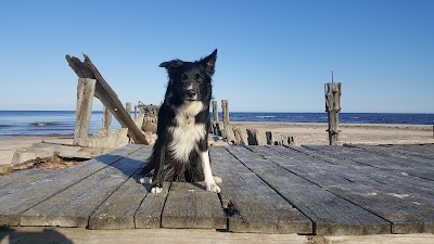Photos of &Scaron;ventoji, Senasis Tiltas