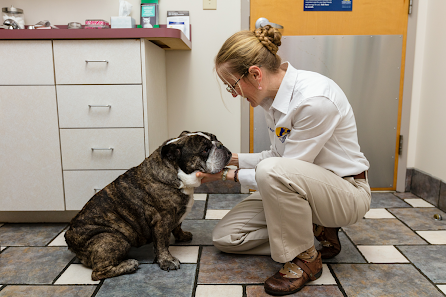 Photo of Care First Animal Hospital at Oberlin Todas