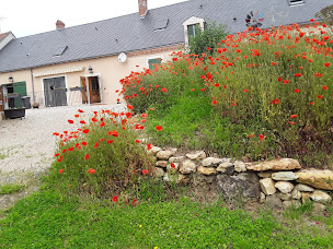 Photo n°2 de Londinium à Chavin (Chambre d'hôtes)