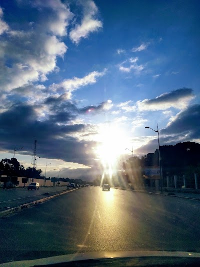 Photos of An Nasr Forest