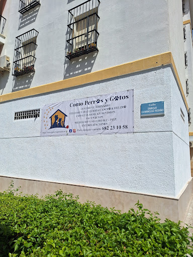 Https://www.Como Perros & Gatos.es/contacto - Visual