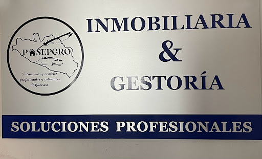Pasepgro - Visual