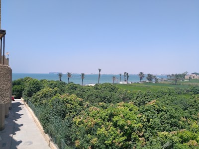 Photos of قرية اصيله المصيفيه
