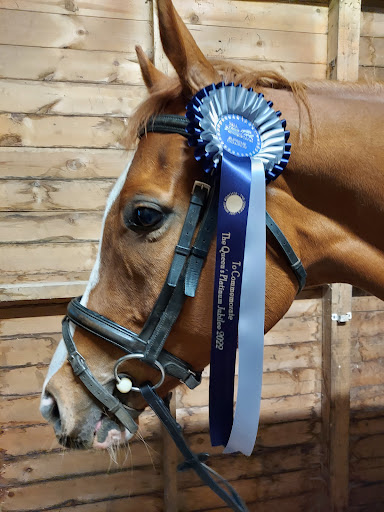 Equi Stone Equestrian Ltd