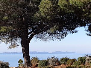 Photo n°12 de Gigaro Home à La Croix-Valmer (Agence immobilière)