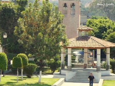 Photos of Central Villa de Colorines Garden