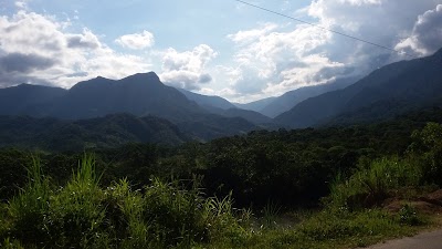 Photos of Granja Porcina