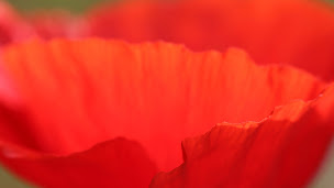 Photo n°1 de C'est Tout Comme Sarl à Tillières (Agence de publicité)