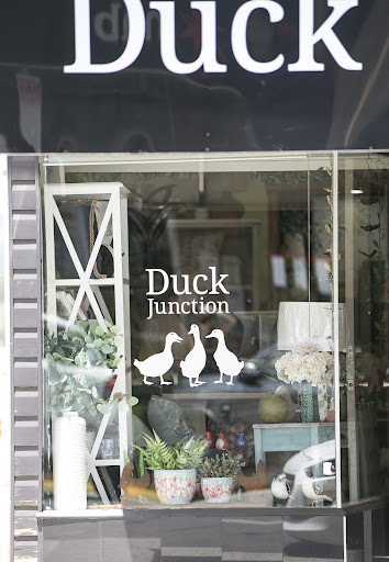 Duck Junction - Visual