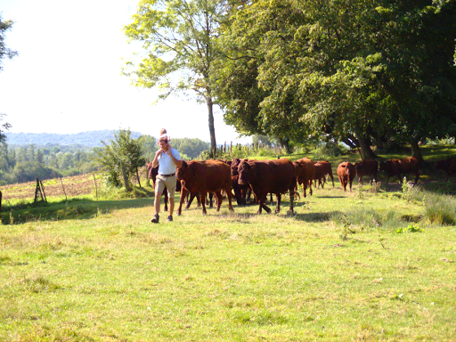 La ferme de Fontenille - Thumbnail