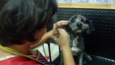 Photos of Clinica Veterinaria Solyvet