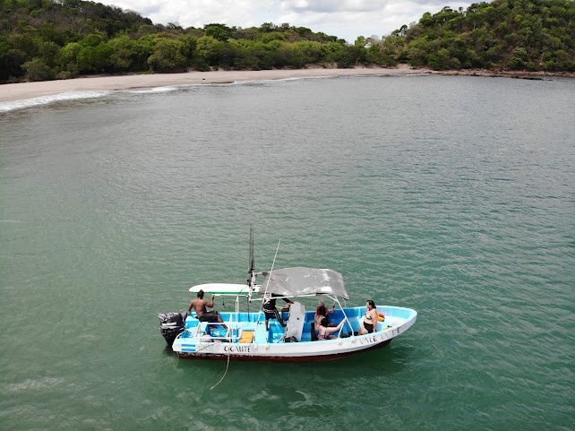 Giant's Foot Surf Tours by null