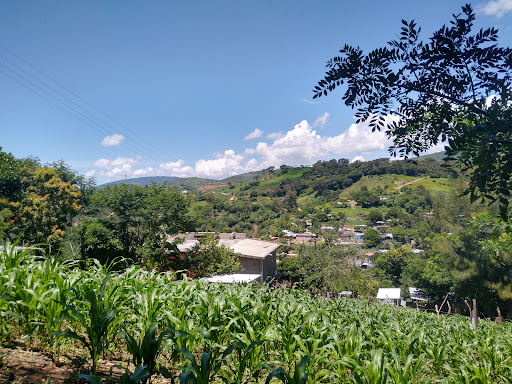 Tlacoaxtla - Visual