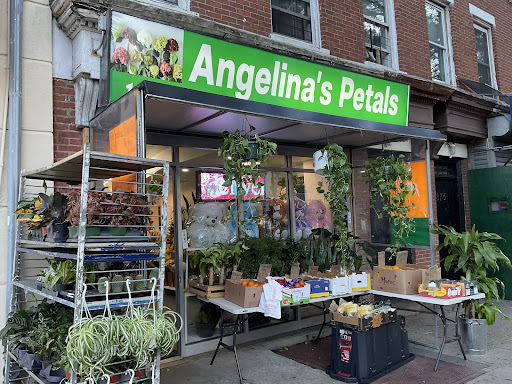 Angelina's Petals - United States