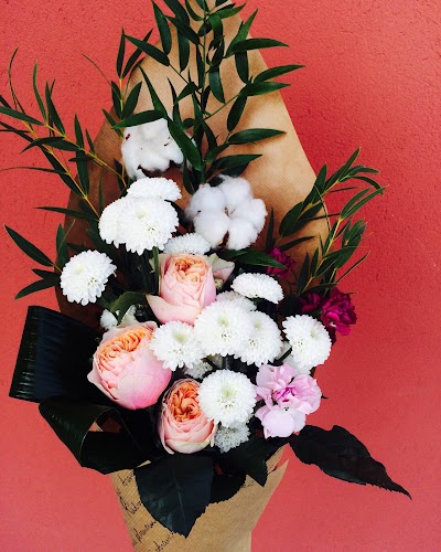 Photos of SCARLET FLOWER