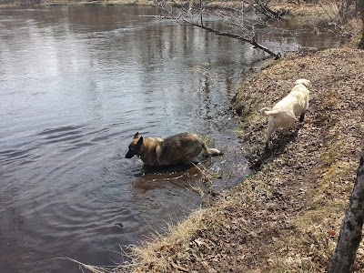 Photos of Bowman Bridge River Access
