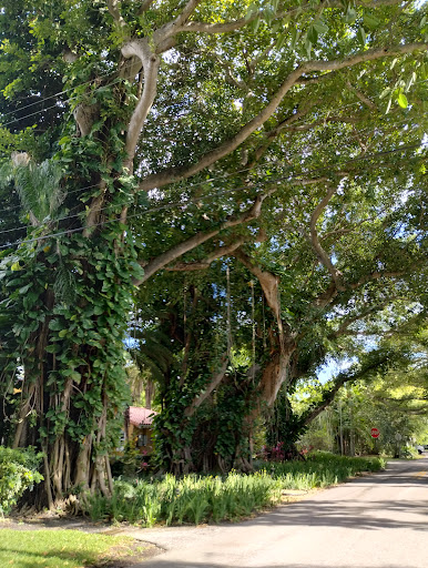 Coral Gables Golf & Country Club Athletic Club - Thumbnail