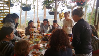 Photos of They go by Colombia
