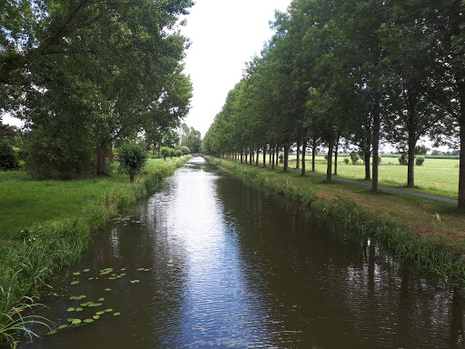 Zijdeweg Noord Gallery - Netherlands
