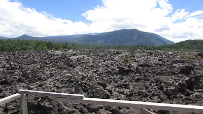 Photos of Emporio Conguillio