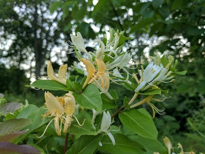 Photos of Daubenspeck Community Nature Park