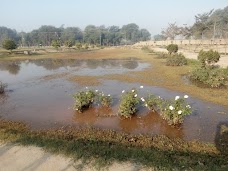 Ladies Study Park bahawalpur