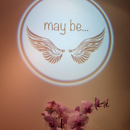 Photo n°16 de may be... à Maisons-Alfort (Magasin de vêtements pour femmes)