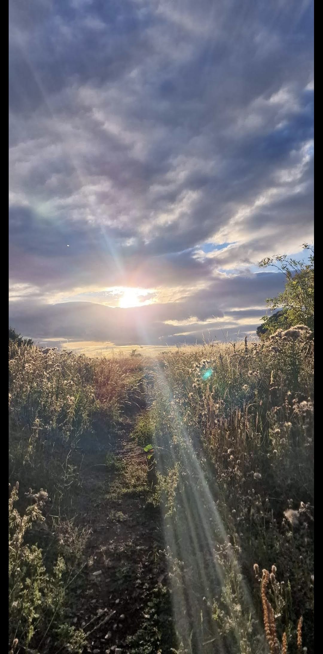 Brislington Meadows