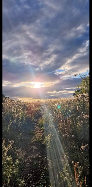 Brislington Meadows