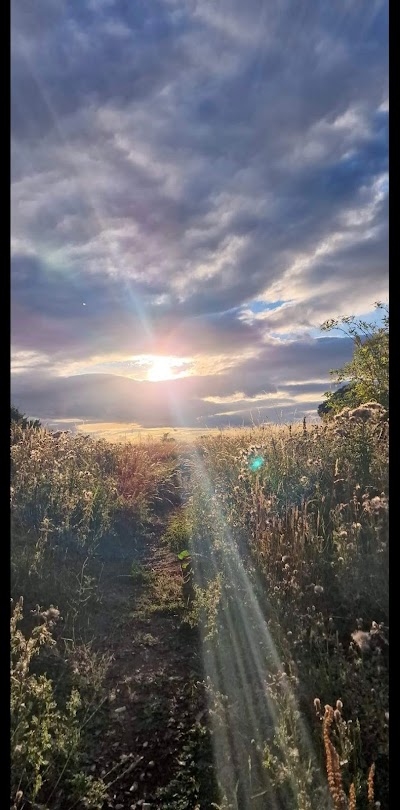 Brislington Meadows