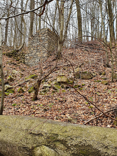 Burgruine Karlsburg - Thumbnail