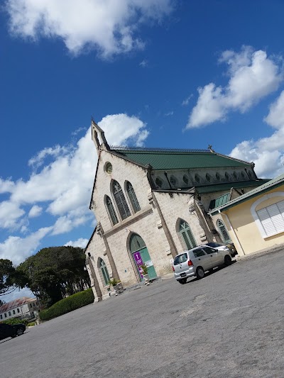 Photos of Saint Patrick's Roman Catholic Cathedral