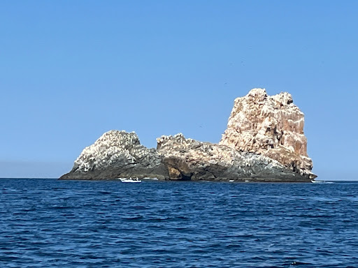 Torecillas - Thumbnail
